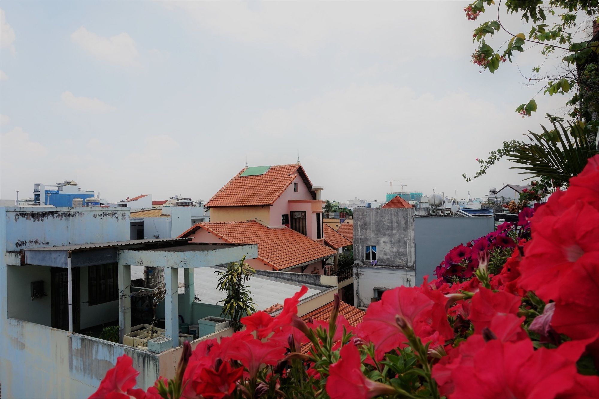 Reddoorz Near Khu Che Xuat Tan Thuan 2 Hotel Ho Chi Minh-Byen Eksteriør billede